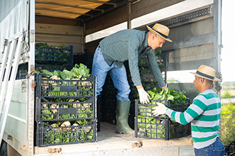Manual handling training not an effective control
