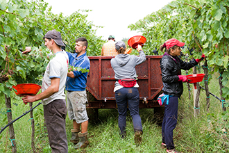Restricted entry intervals for pesticides – quick guide