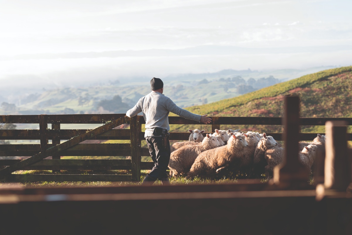 Agriculture psychosocial risks