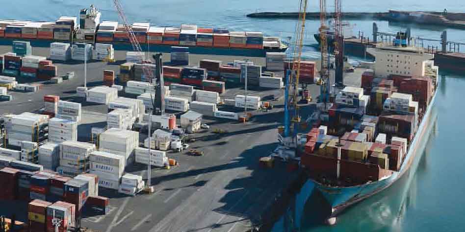 Napier Port triggers safety chain reaction
